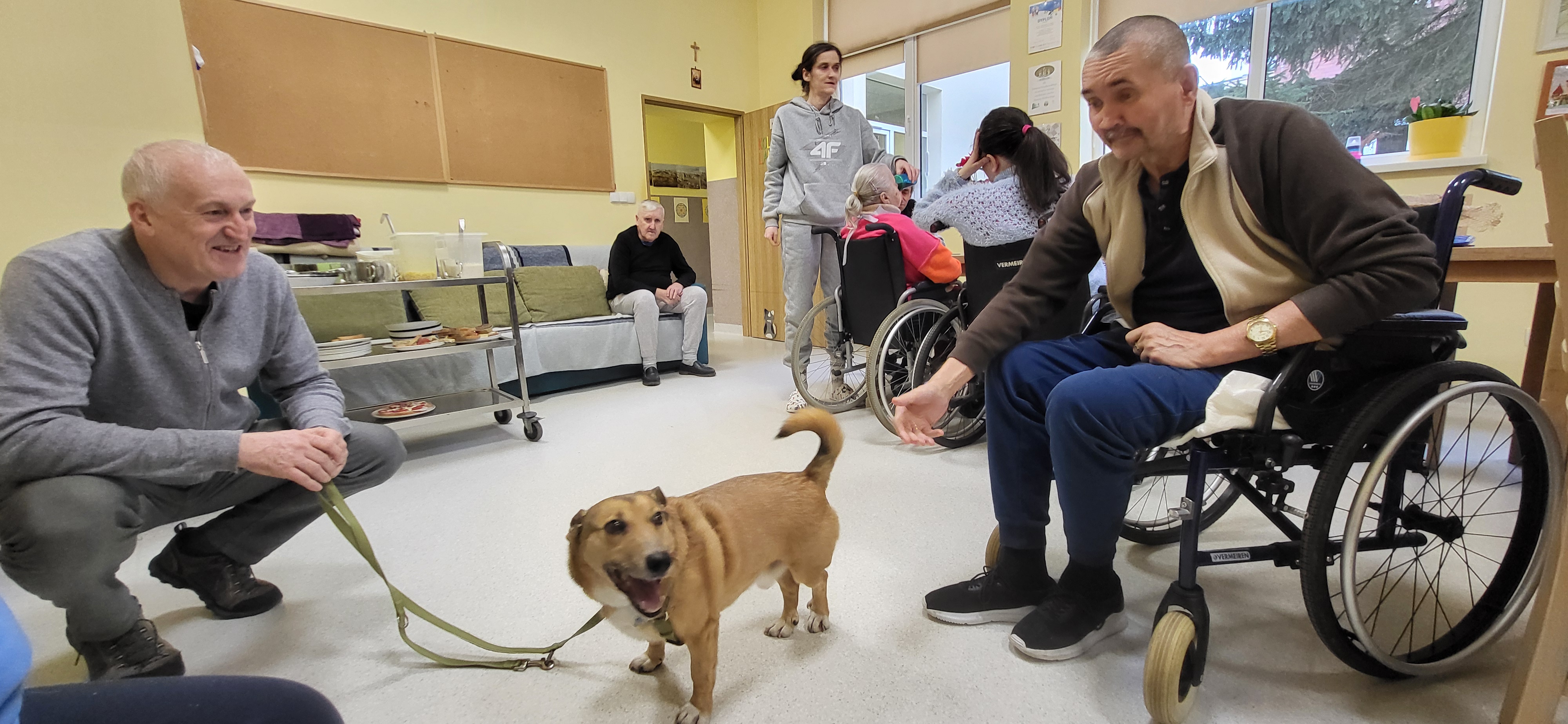 Dogoterapia - pies na smyczy przy mieszkańcach DPSu